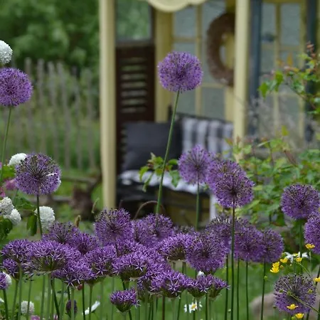 Maerchenherberge 7 Zwerge Tatil Evi